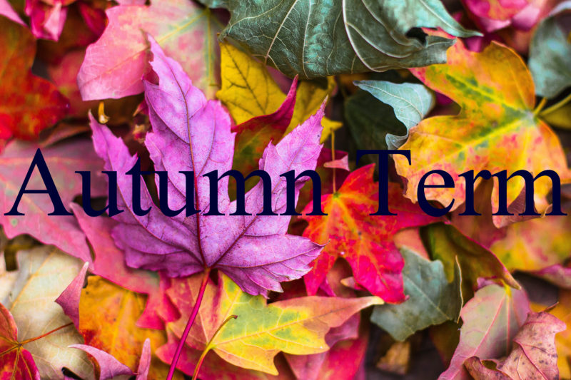 When Does Autumn Term Start 2024 Vicky Marian